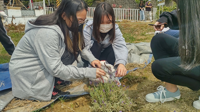 Second semester of the 111th semester Clean and Green Home (1) 112/03/31(Fri)Image