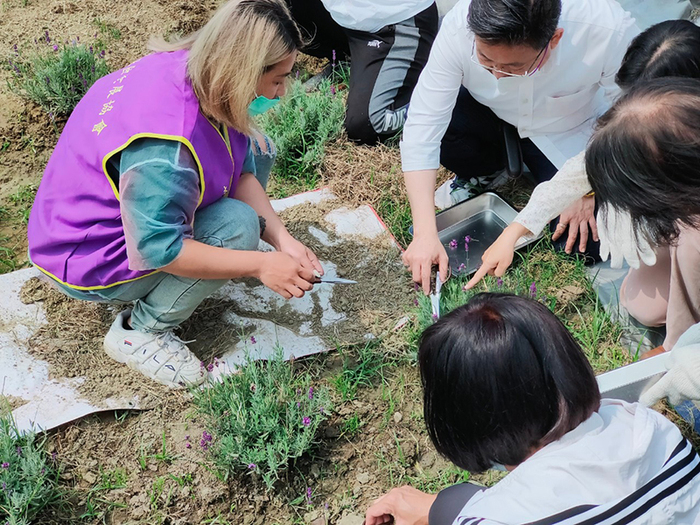 Second semester of the 111th semester Clean and Green Home (1) 112/03/31(Fri)Image