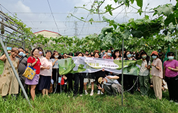 Environmental Education Activity in the Second Semester of School Year 111 - Loofah Experience in Tin Po Community 112/05/26(Fri)Image